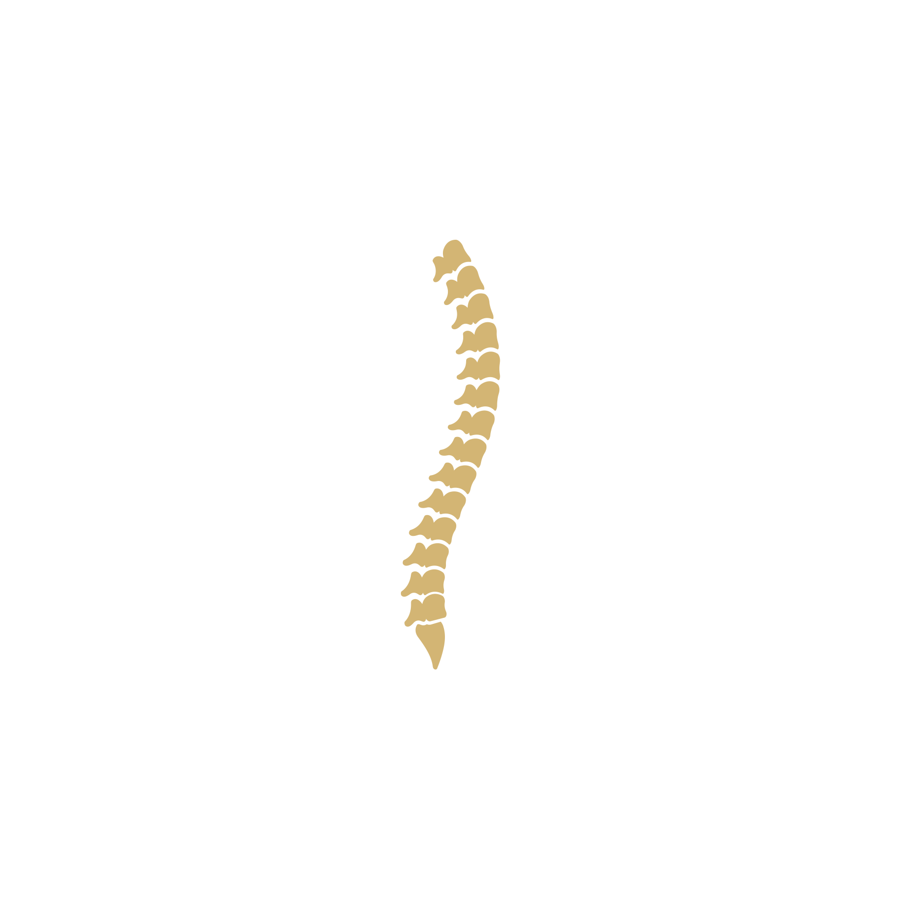 Elevated Health Collective Logo
